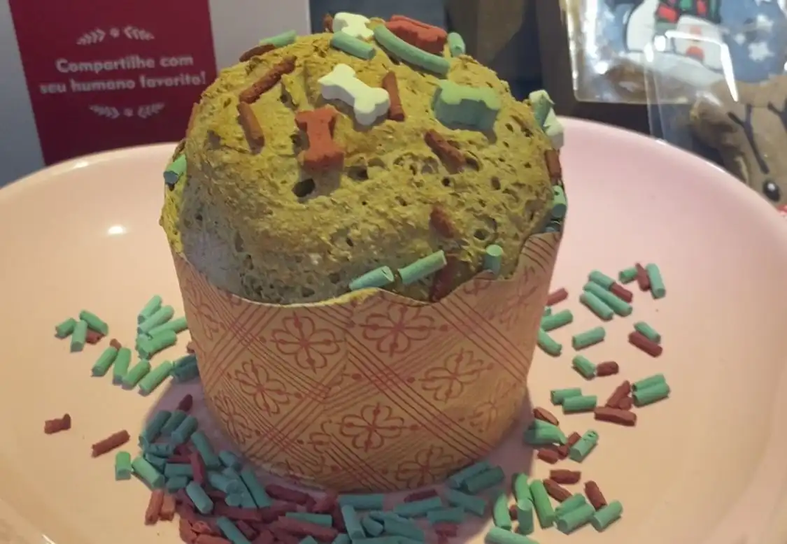 Nutricionista pet cria panetone especial para os animais