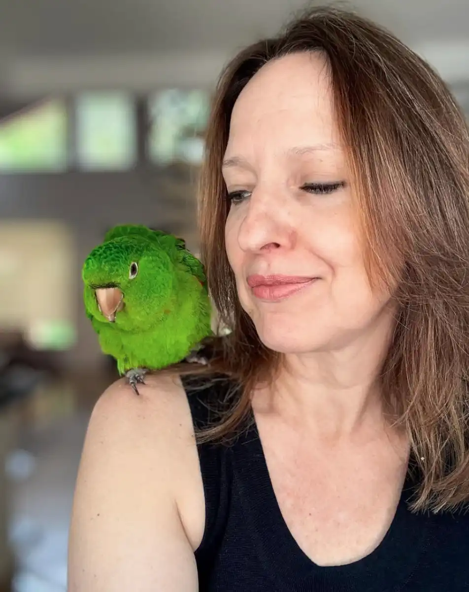 Ex-Globo Karen Schmidt denuncia agressão contra maritaca em São José