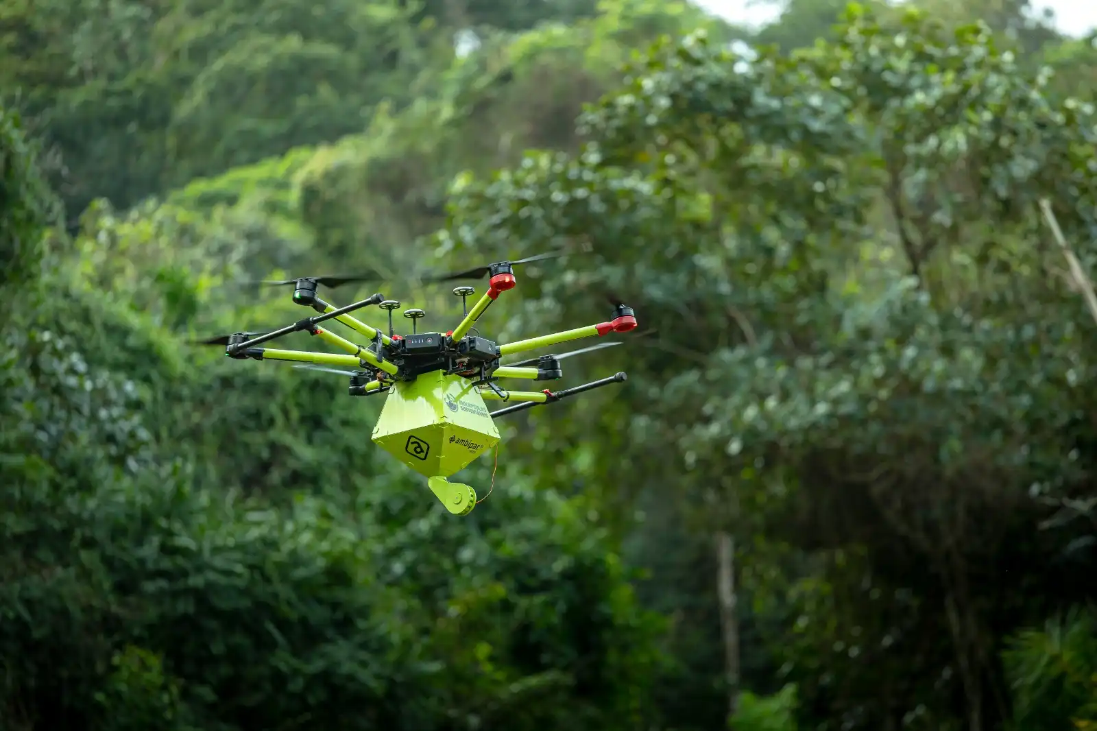 Projeto de recuperação de áreas degradadas por chuvas em São Sebastião utiliza biocápsulas e drones