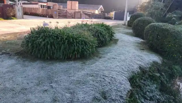 Campos do Jordão registra 1,3°C e bate novo recorde de frio no ano 