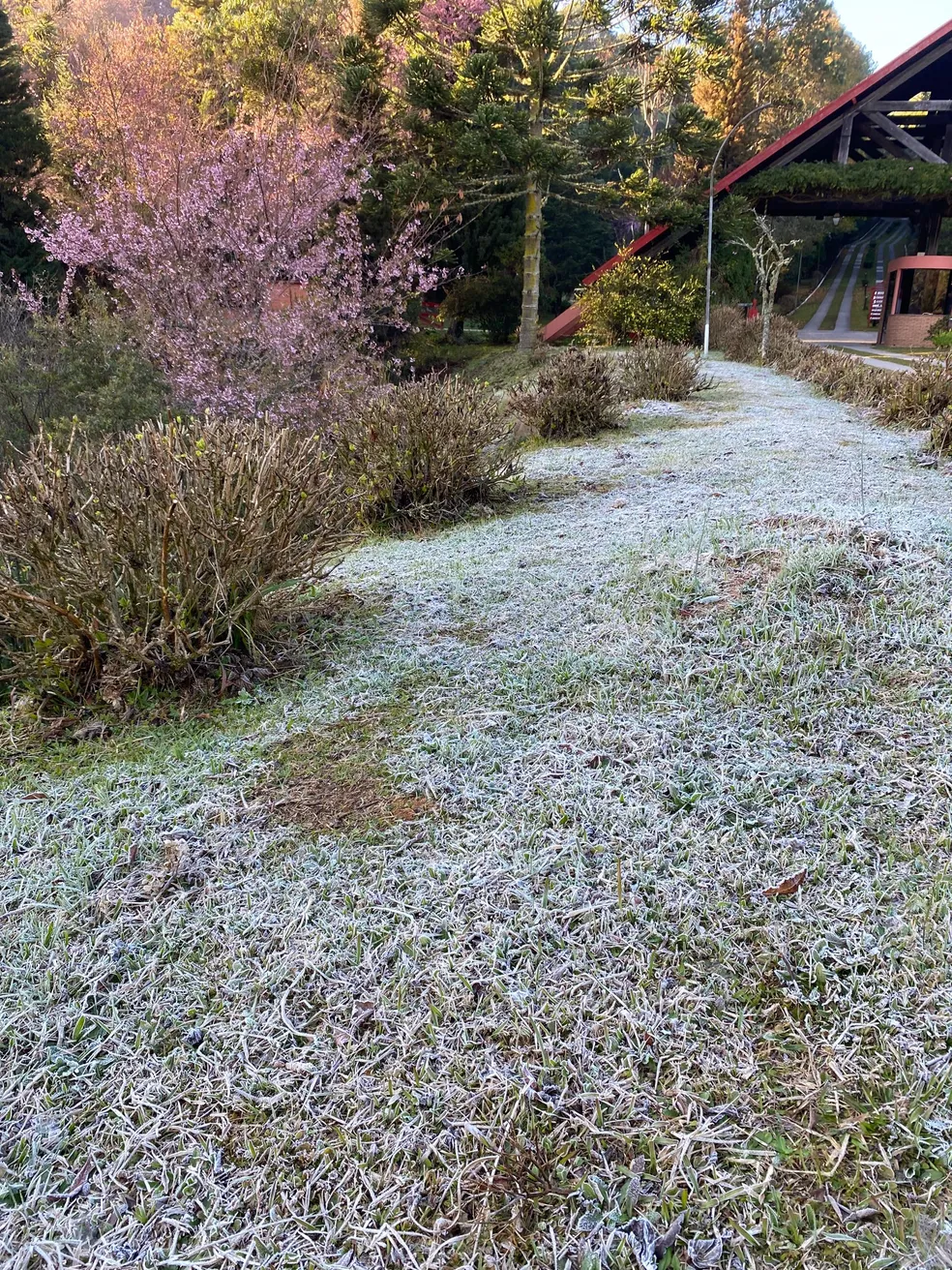 Defesa Civil emite alerta sobre queda de temperaturas até quarta (05)
