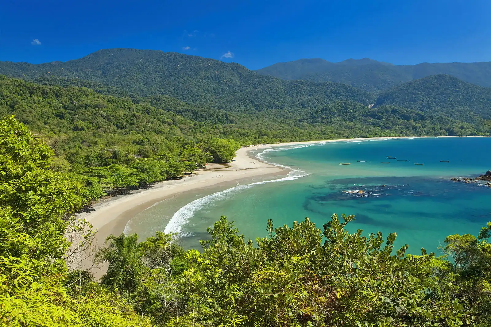 Vereadores de Ilhabela aprovam a volta da cobrança de taxa ambiental na cidade
