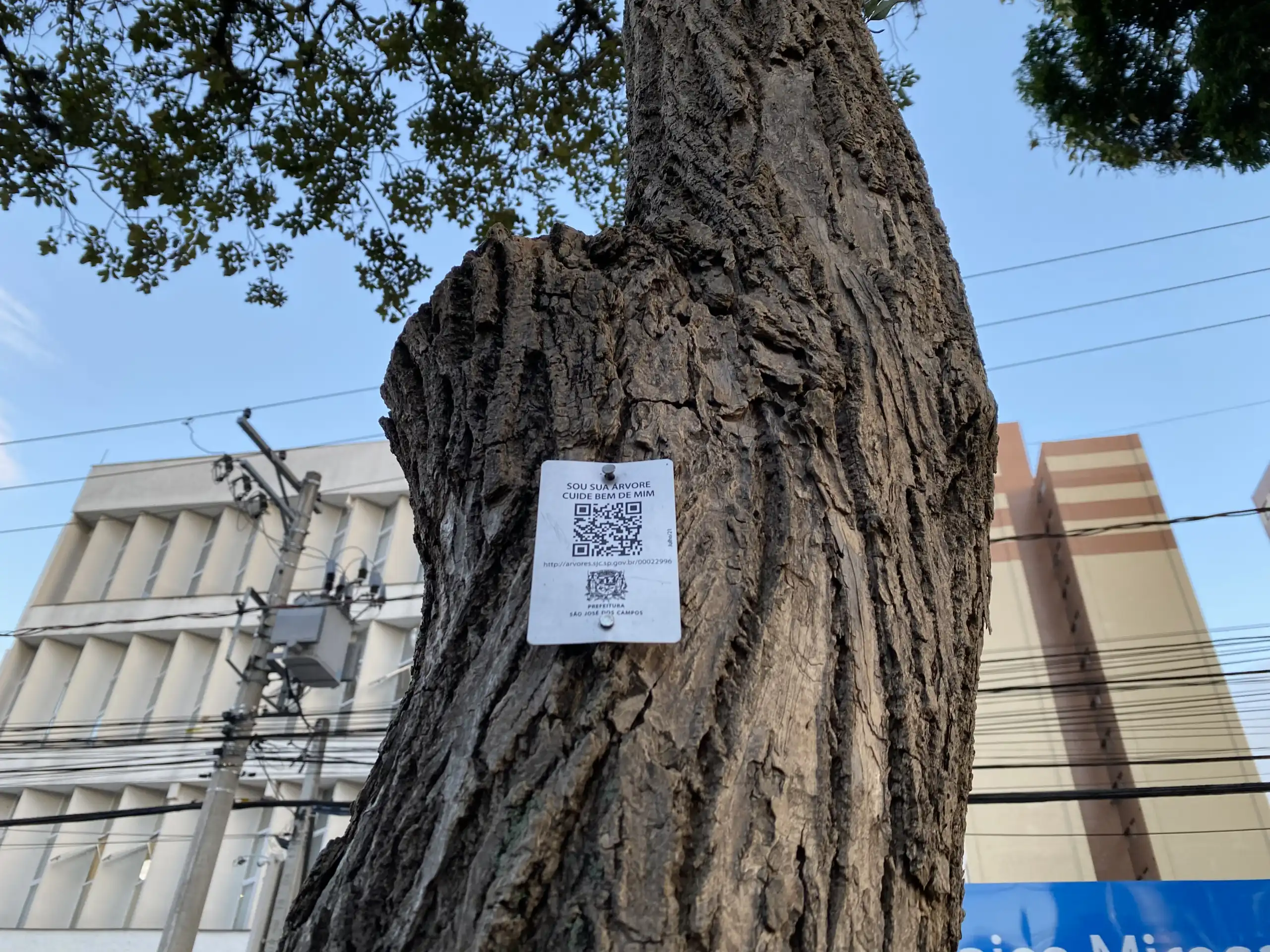 São José chega a marca de 50% das árvores cadastradas com QR Code