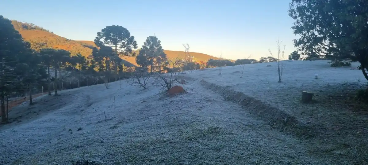 Campos do Jordão registra 0,5ºC - a menor temperatura do ano  
