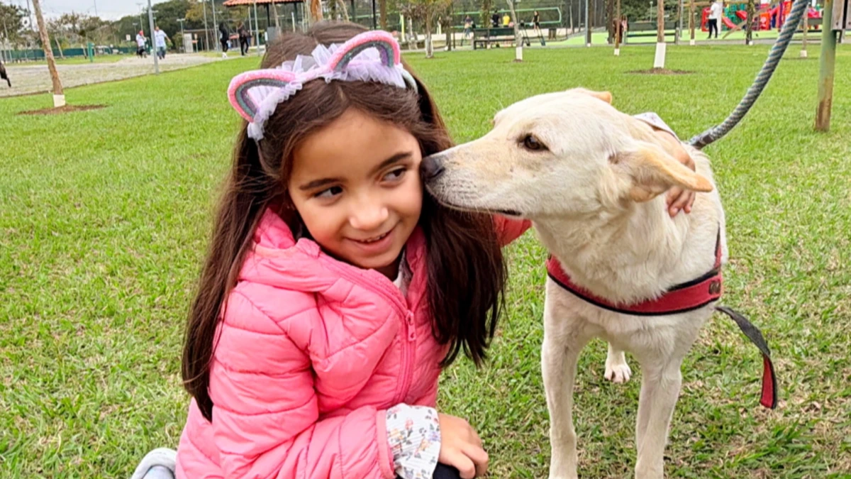 Feira de adoção leva cães e gatos ao Jardim Aquarius neste sábado (29)