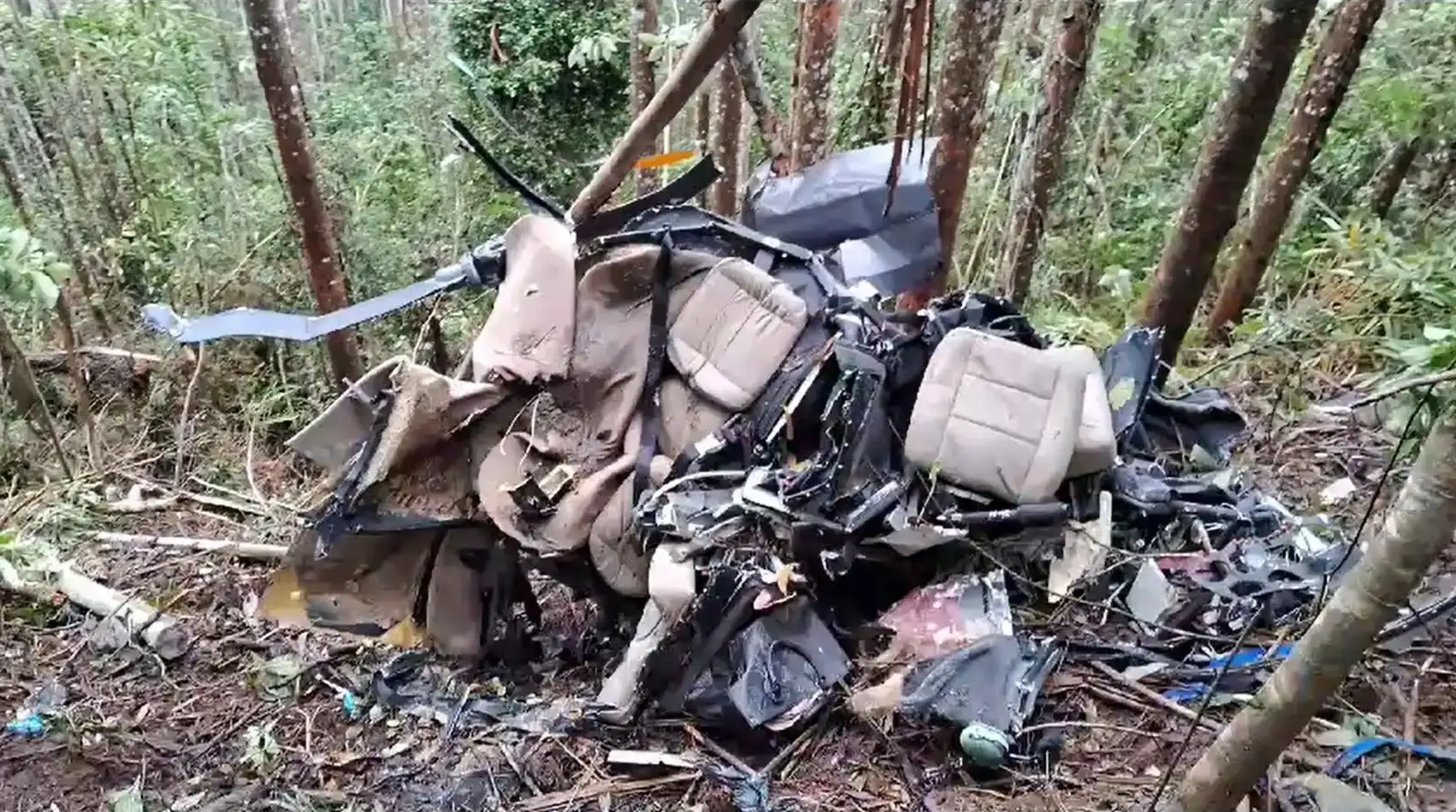 Relatório preliminar aponta que helicóptero bateu em vegetação