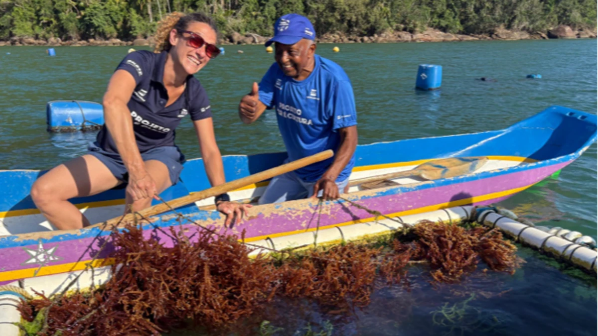 Workshop gratuito em São Sebastião promove palestras e oficinas sobre cultivo de algas marinhas