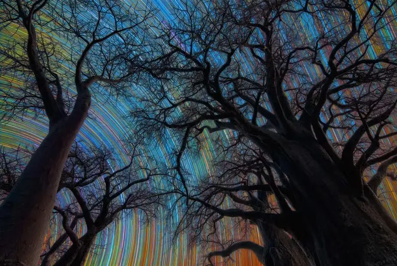 botswana-star-trail-c-stefano-pellegrini-zwo-astronomy-photographer-of-the-year-2026-skyscapes.jpg.avif
