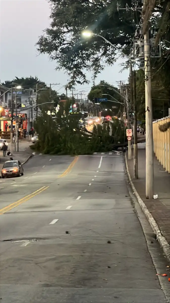 Arvore de escola municipal caí e interdita avenida na zona sul