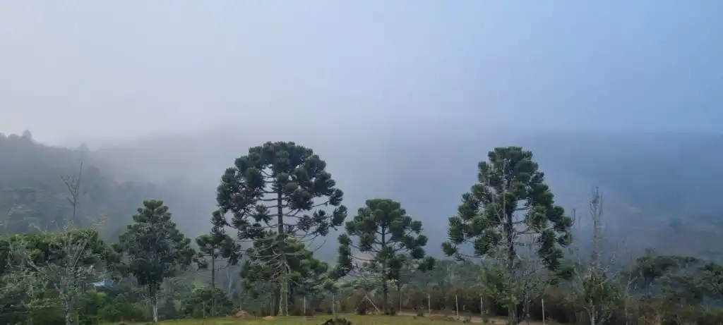 Campos do Jordão registra 0,4 °C nesta quarta (30) e bate novo recorde de frio
