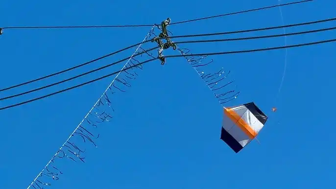 Ocorrências com pipas na rede elétrica no Vale do Paraíba e Litoral Norte aumentaram 42%, aponta EDP