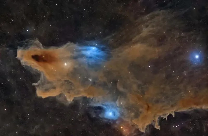 the-quiet-predator-c-ali-alobaidly-zwo-astronomy-photographer-of-the-year-2026-stars-and-nebulae.jpg.avif