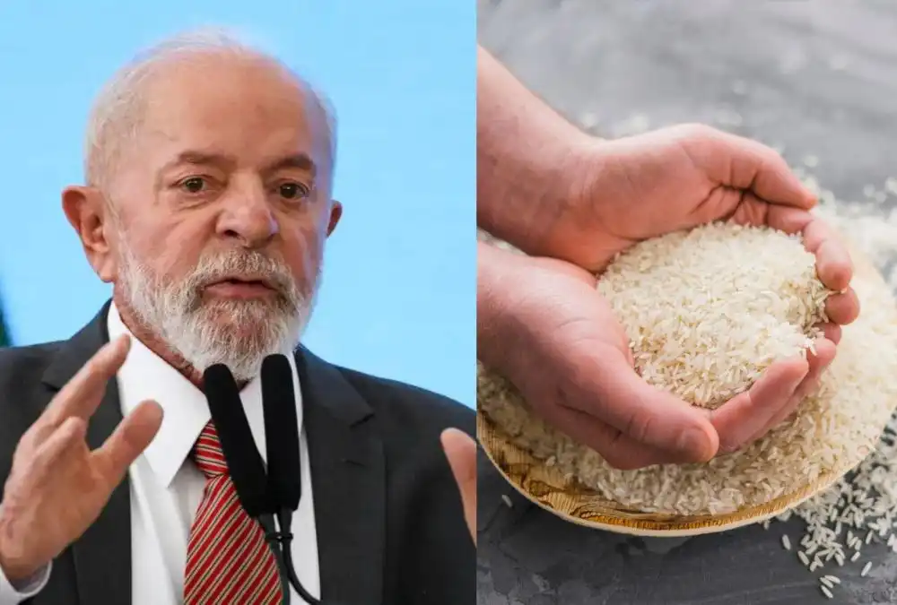 Após suspeita de irregularidade, leilão de importação de arroz é anulado pelo Governo Federal