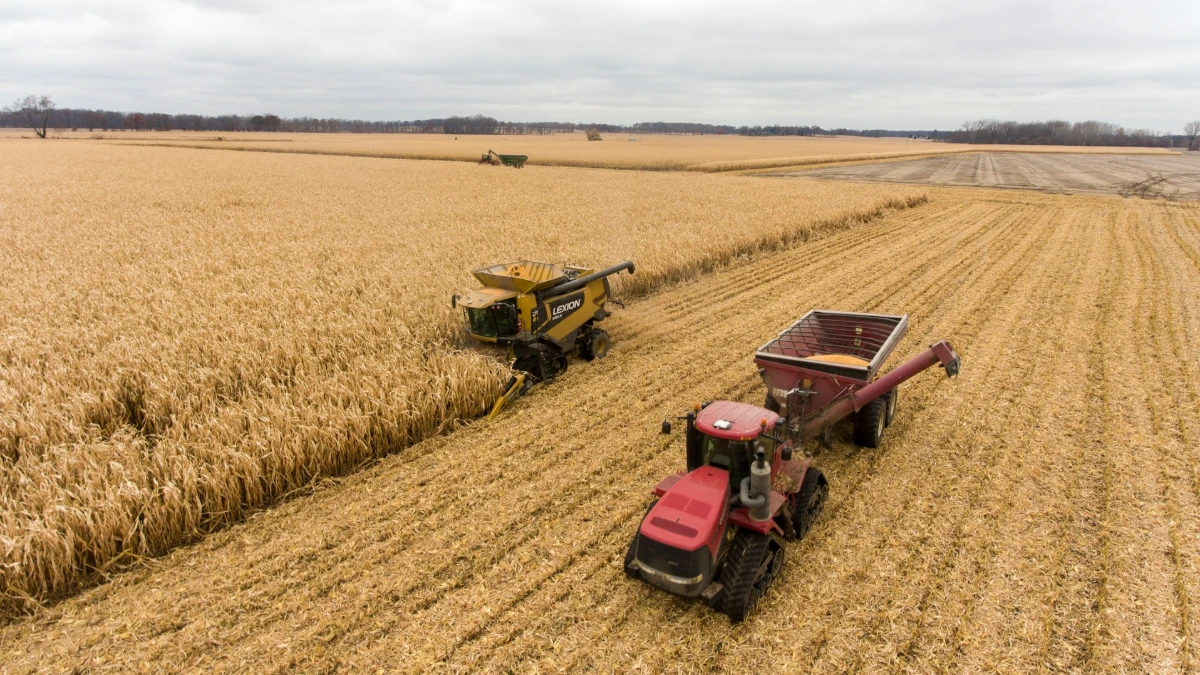 Agro sai fortalecido das eleições e pode ampliar influência sobre crédito rural