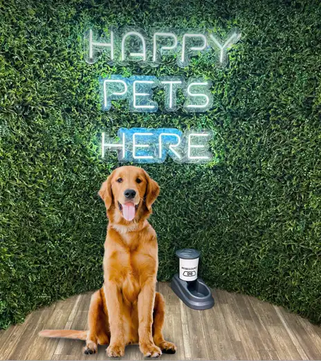 Shopping de São José tem Política Pet Friendly