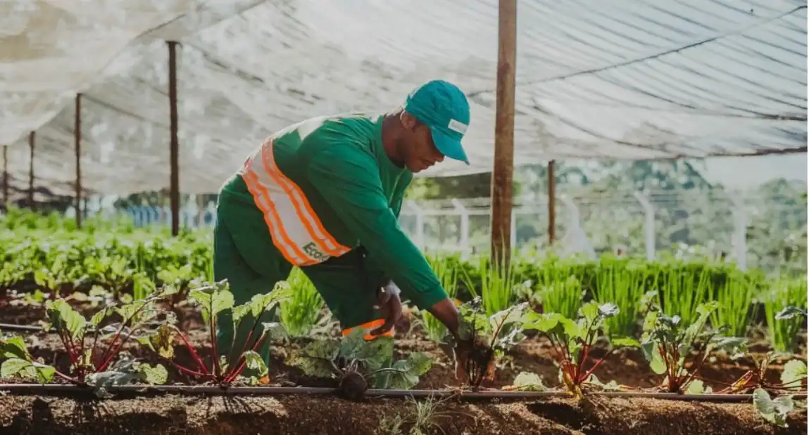 Educação ambiental é o primeiro passo para o descarte correto de resíduos e para a preservação ambiental