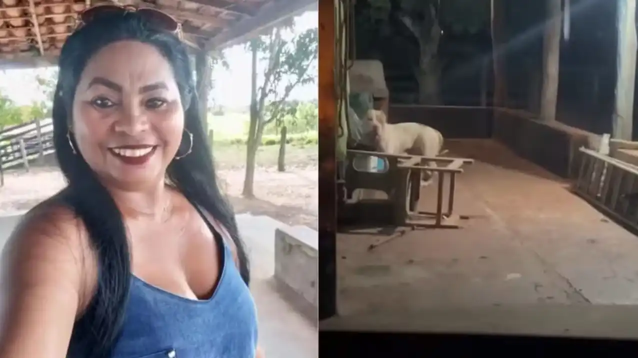 Mulher morre após ser atacada por pitbull dentro de casa