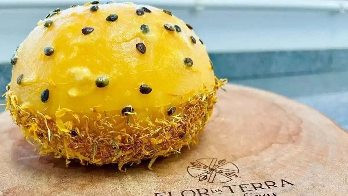 Queijo brasileiro entre os 10 melhores do mundo no World Cheese Awards 2024