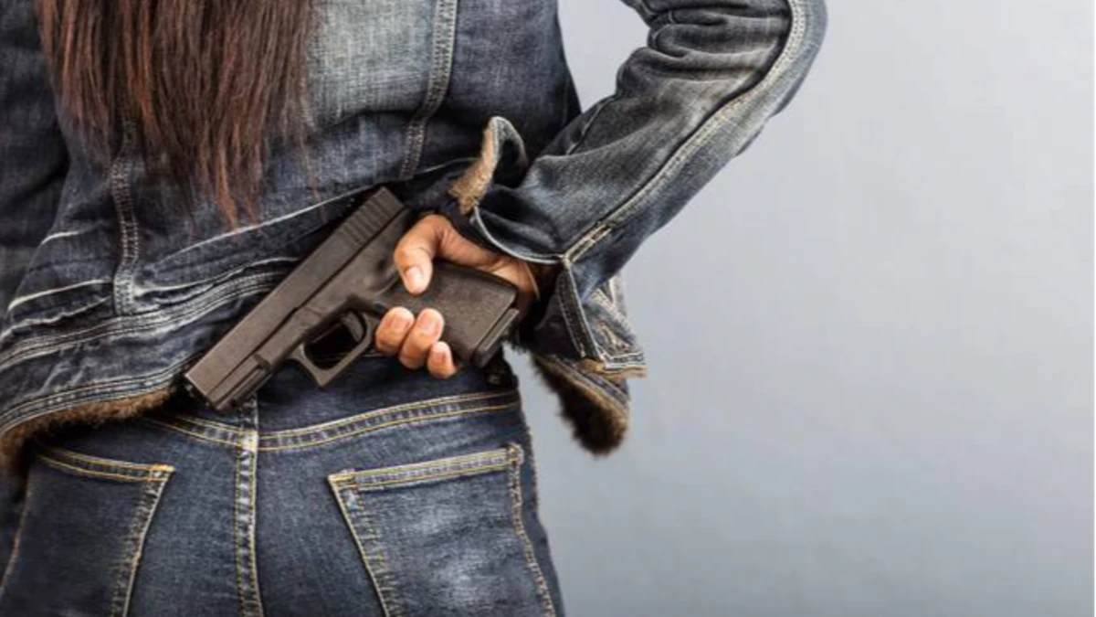 Senado avalia porte de armas para mulheres vítimas de violência