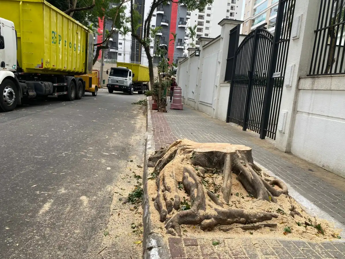 Prefeitura de São José retira árvores do Jardim Aquarius