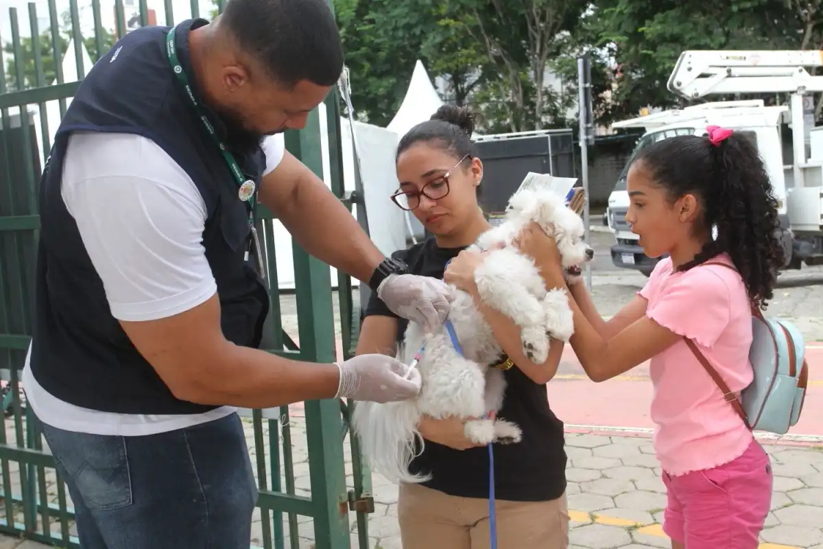 Jacareí realizará vacinação antirrábica gratuita para cães e gatos
