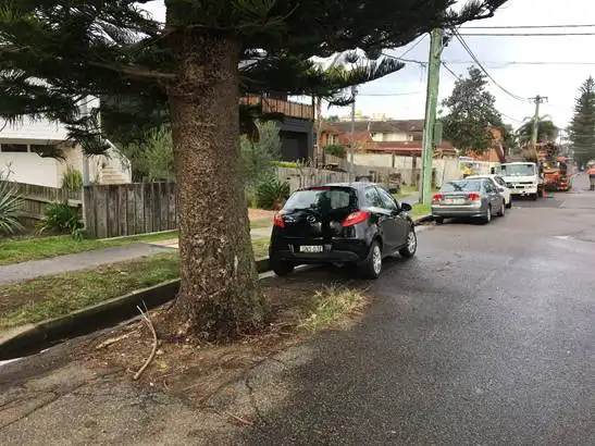 Projeto de Lei que utiliza estacionamentos para plantio de árvores é aprovado em SJCampos