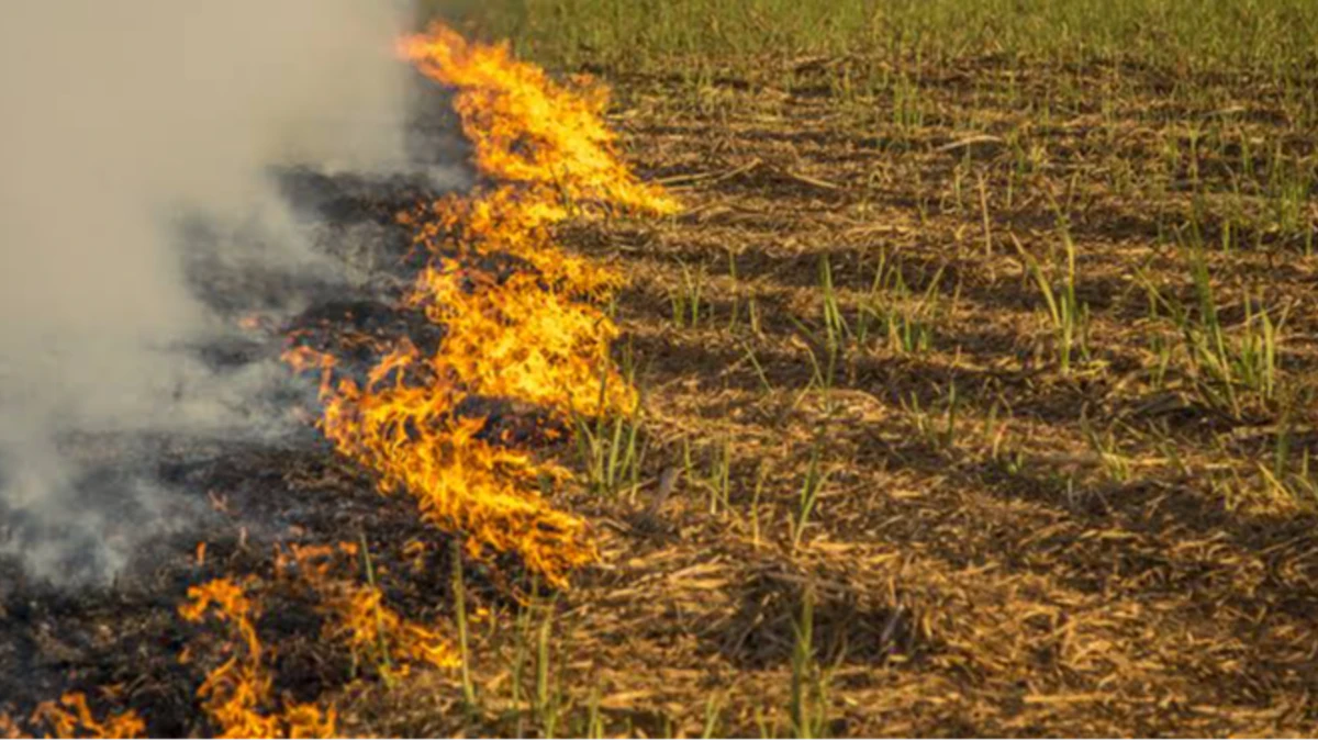 Aquecimento global deve ultrapassar 1,5°C nos próximos anos, alerta ONU