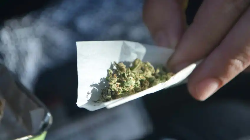 STF forma maioria para descriminalizar porte de maconha para uso pessoal