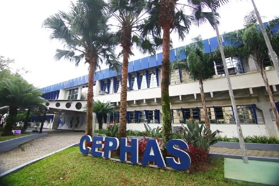 Cephas abre inscrições para 320 vagas em cursos técnicos gratuitos em São José