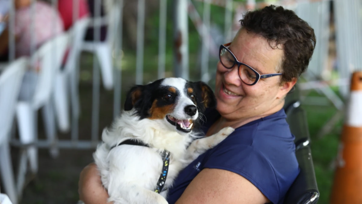São José abre mil vagas para castração gratuita de cães e gatos