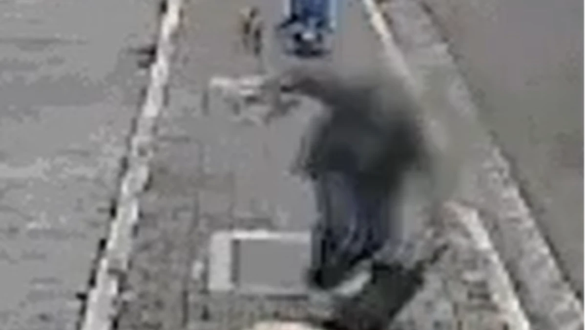 Homem que tentou assaltar idosa com patinete é preso