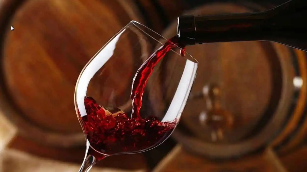 Rota do Vinho impulsiona turismo no Vale e amplia interesse por visitas a vinícolas