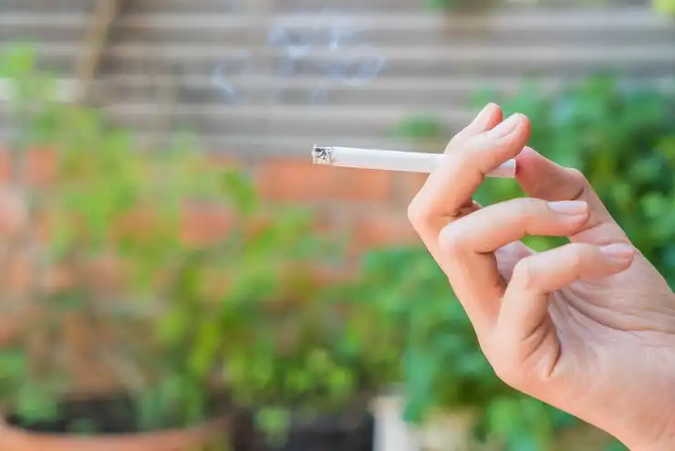 Conheça 5 motivos para não ignorar os malefícios do tabaco