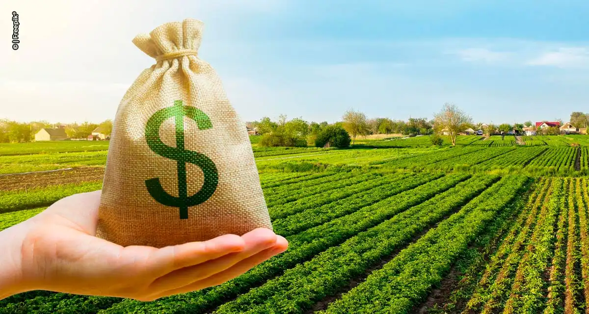 Recursos dos Futuros Planos Safra serão tema de debate em seminário do Instituto de Economia Agrícola