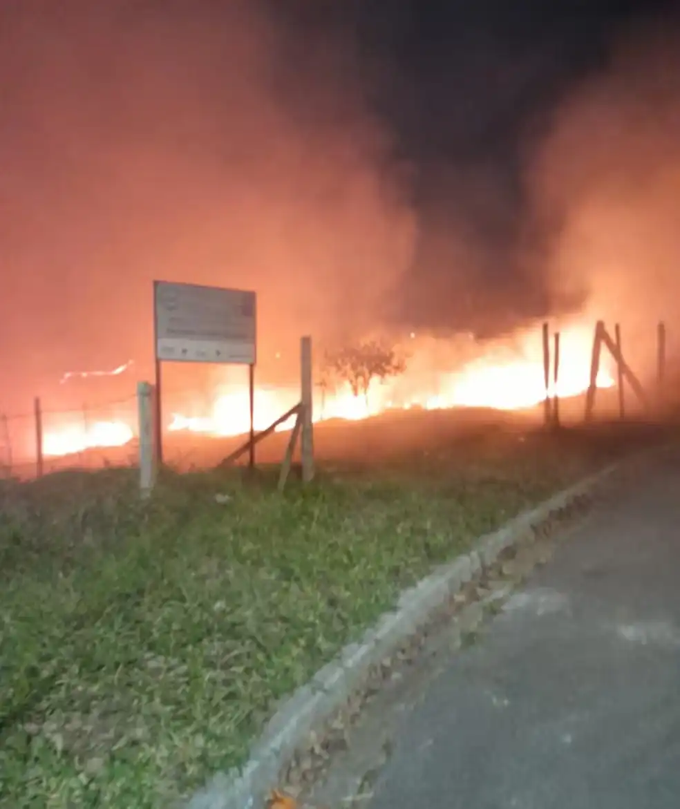 Incêndio atinge e destrói 800 mudas de árvores do Ecomuseu em São José