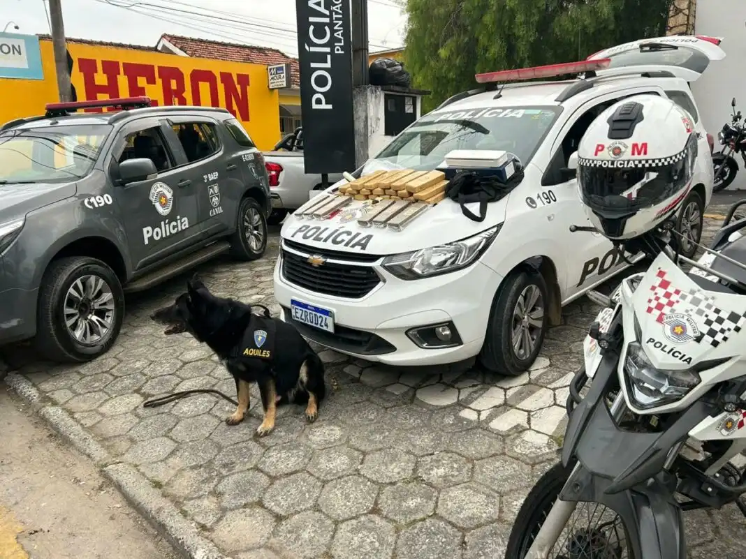 Homem é preso com 26 tijolos de maconha em Guaratinguetá