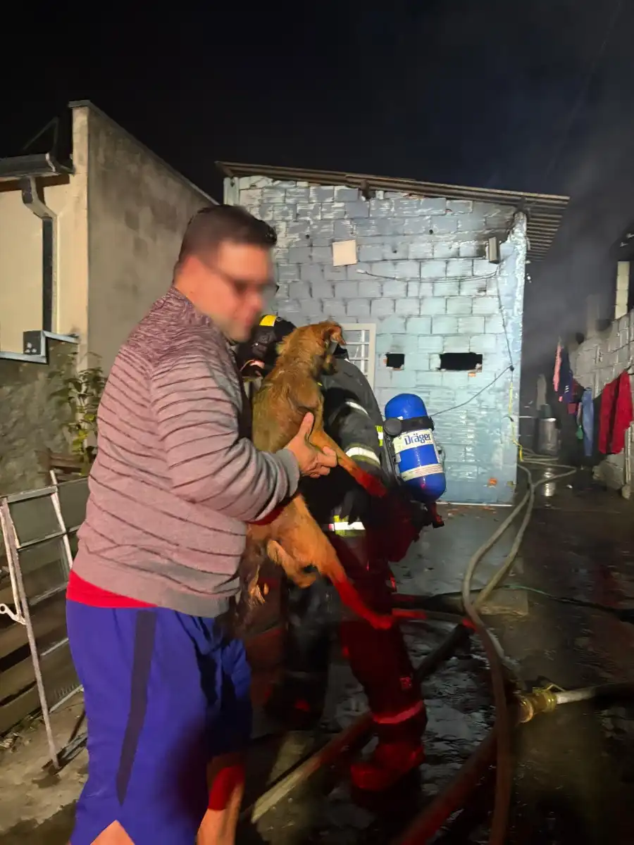 Bombeiros resgatam oito cães de incêndio em casa na Zona Oeste de São José