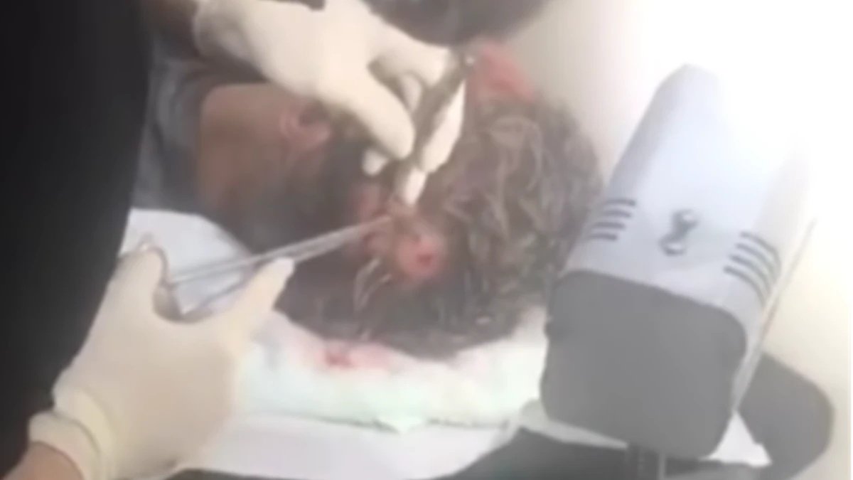 Estudante é agredido por grupo na saída de escola em Jacareí