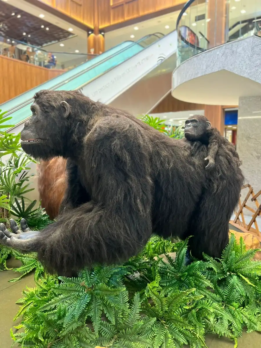 Colinas recebe atração que leva visitantes à selva e à savana