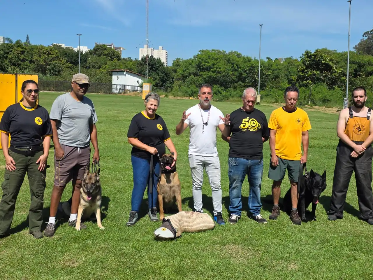 Após ataques de pitbulls, São José terá treinamento gratuito para cães de grande porte