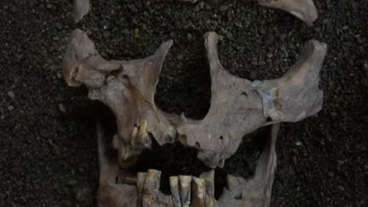 Humanos usam drogas há pelo menos 25 mil anos, revela estudo com esqueletos