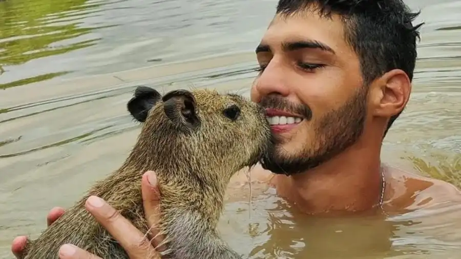 “Pai” de capivara é multado pelo Ibama e terá animal retirado