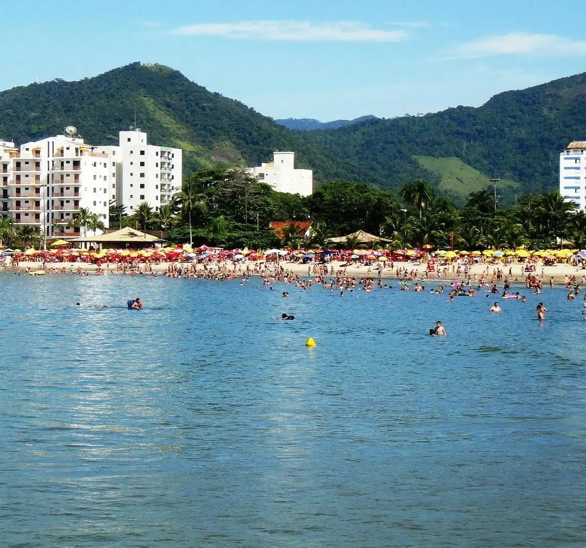 Todas as praias do Litoral estão próprias para banho
