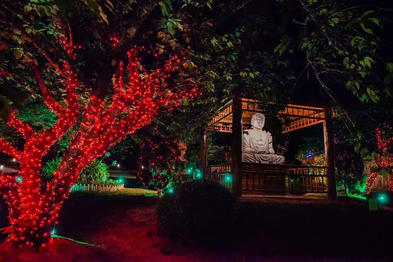 Magia do Natal: Parque da Cerejeira está na rota das grandes atrações temáticas em Campos do Jordão