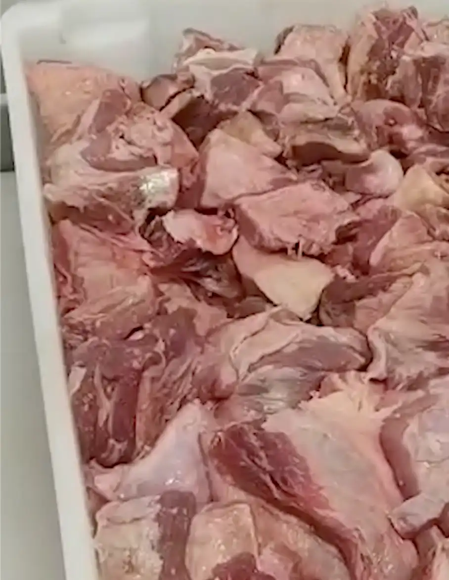 Ex-funcionário denuncia supostas irregularidades em açougue de supermercado em São José; veja o vídeo