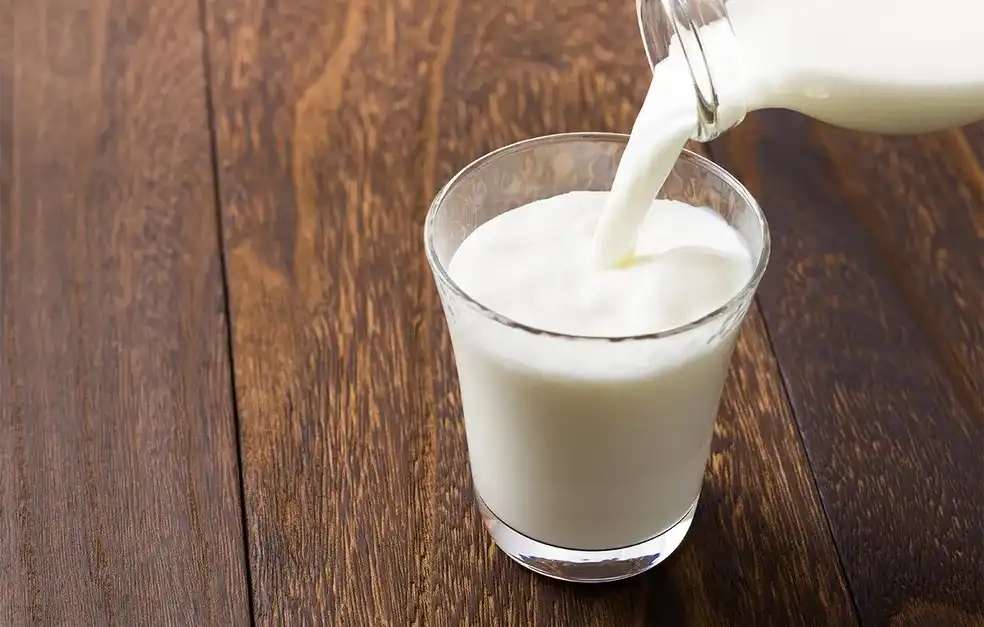 Nutricionista tira dúvidas sobre o consumo de leite