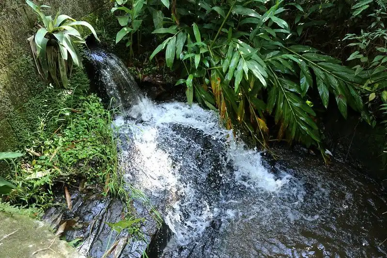 Parque Natural Municipal Augusto Ruschi será reinaugurado nesta sexta (24) em São José