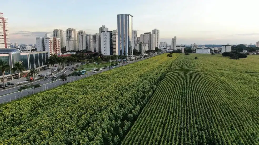 Vendas de lotes no novo bairro no “Terreno das Vaquinhas” esgotaram