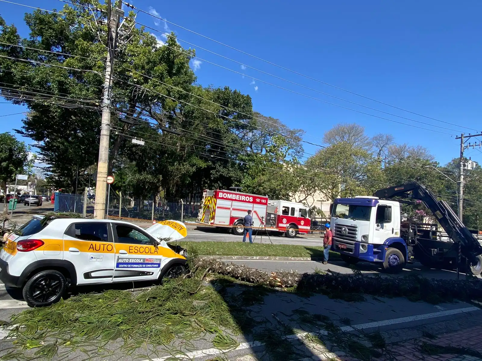 Mulher fica gravemente ferida após árvore cair em carro que ela estava em São José