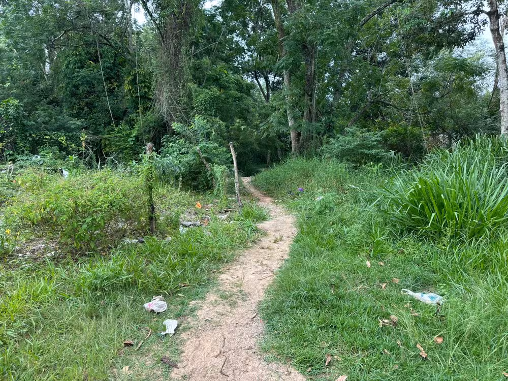 Justiça mantém preso tutor de pitbulls após ataque que matou idosa em São José